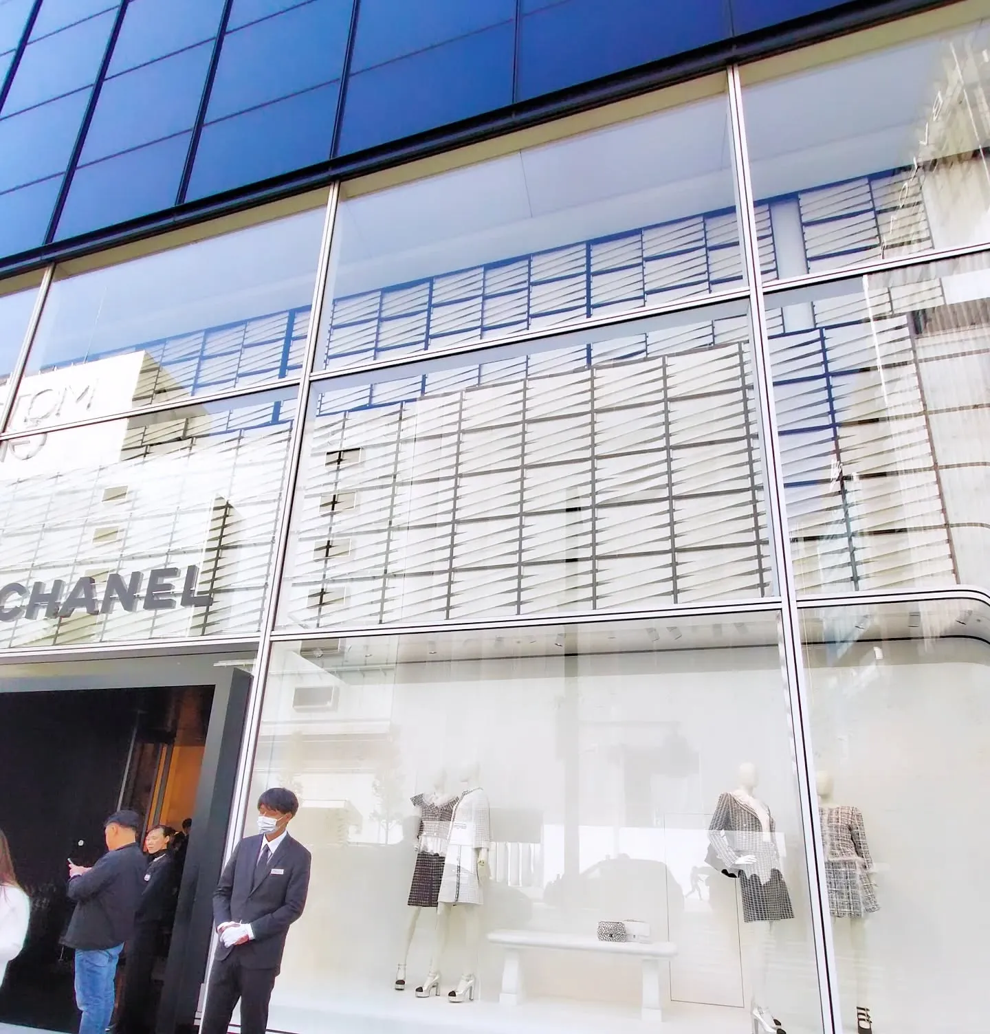 【ご近所の春、銀座の街角をお届け💞】