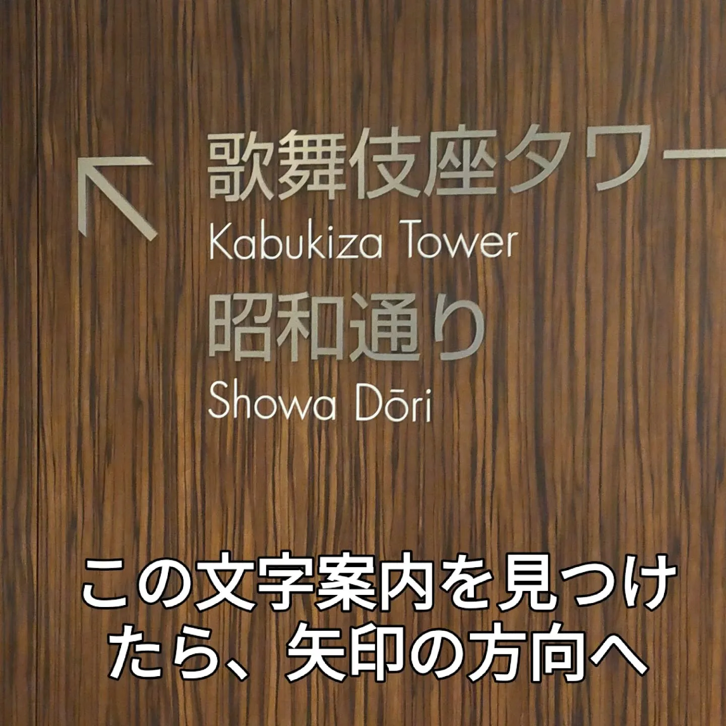 ✨意外と知られてない「昭和通り口」