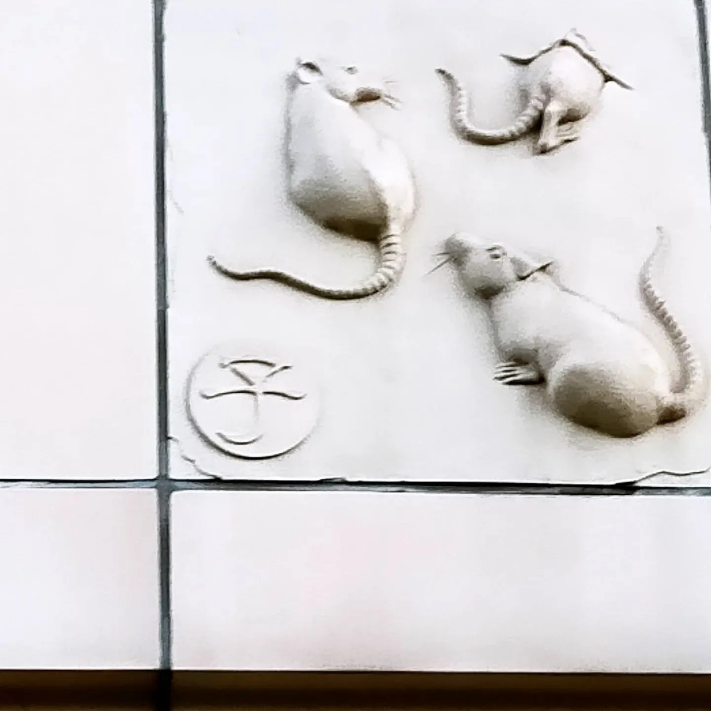 【ご近所紹介】