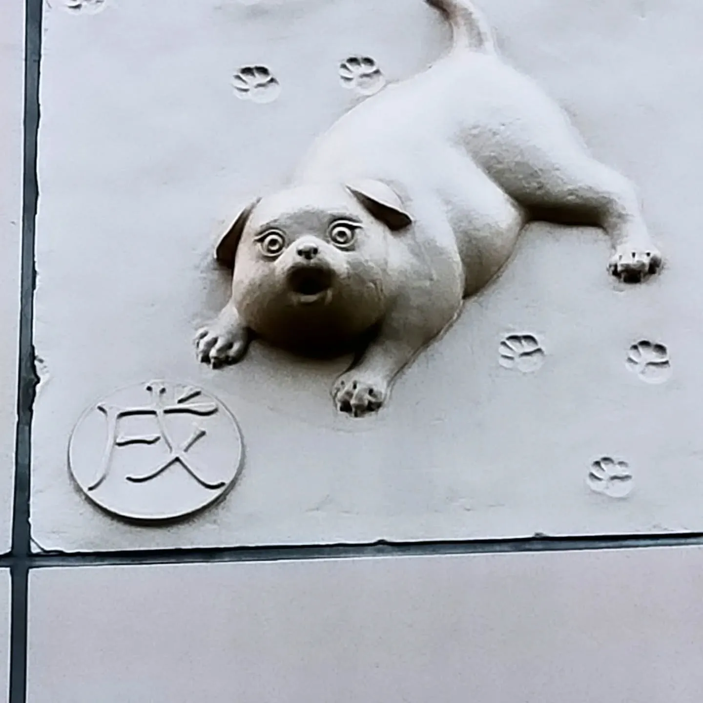 【ご近所紹介】