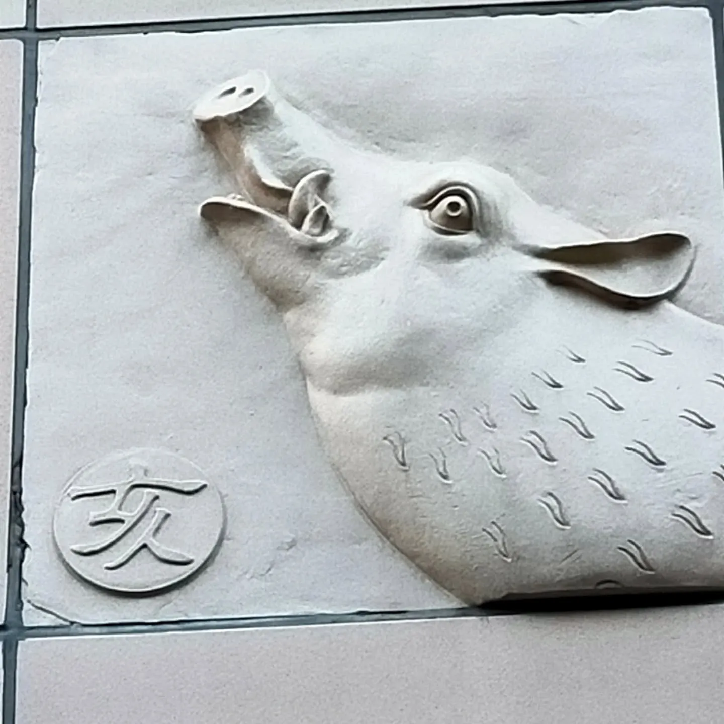 【ご近所紹介】