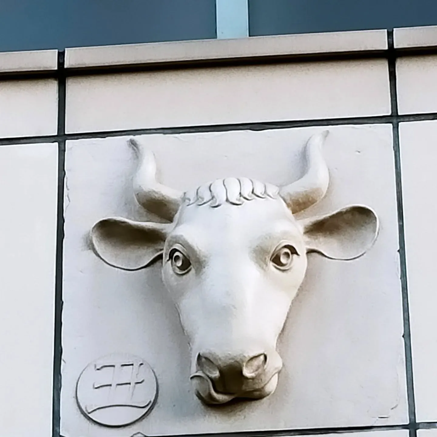 【ご近所紹介】