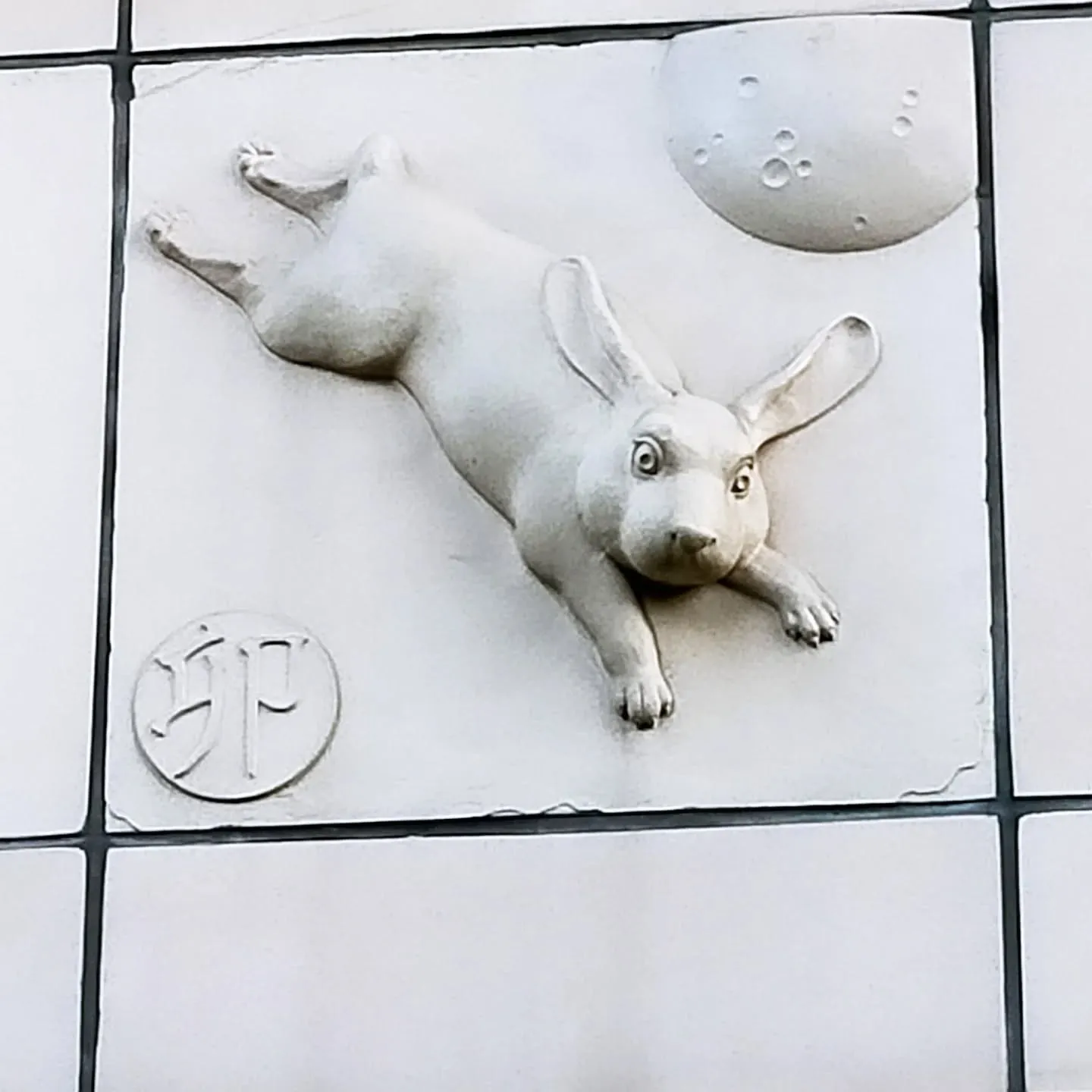 【ご近所紹介】