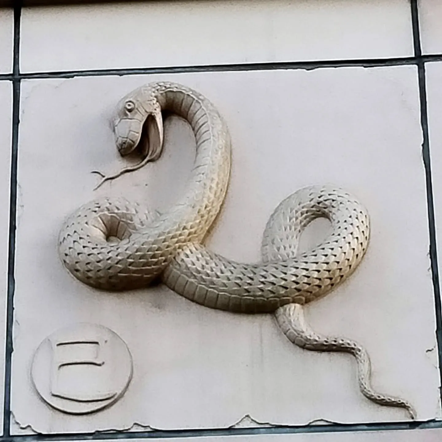 【ご近所紹介】