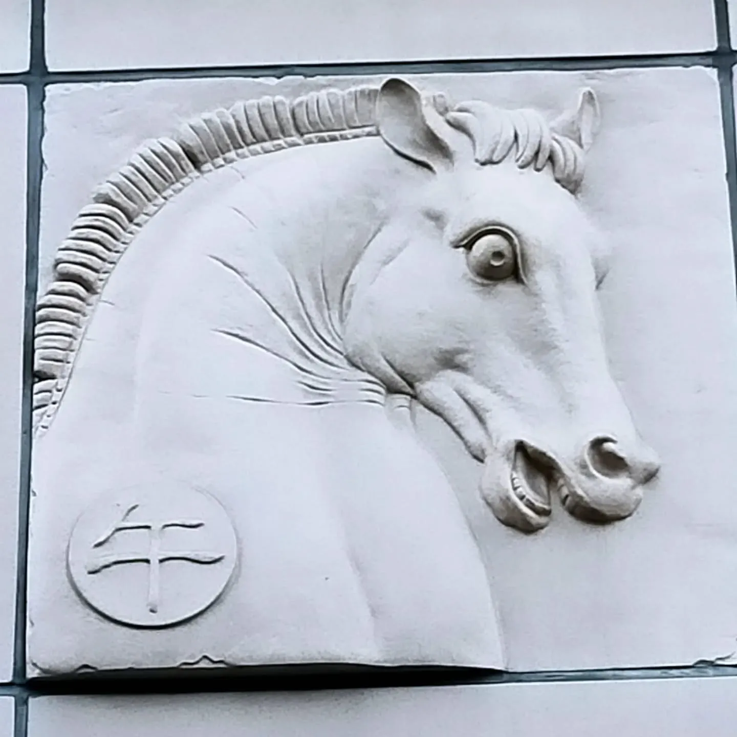 【ご近所紹介】