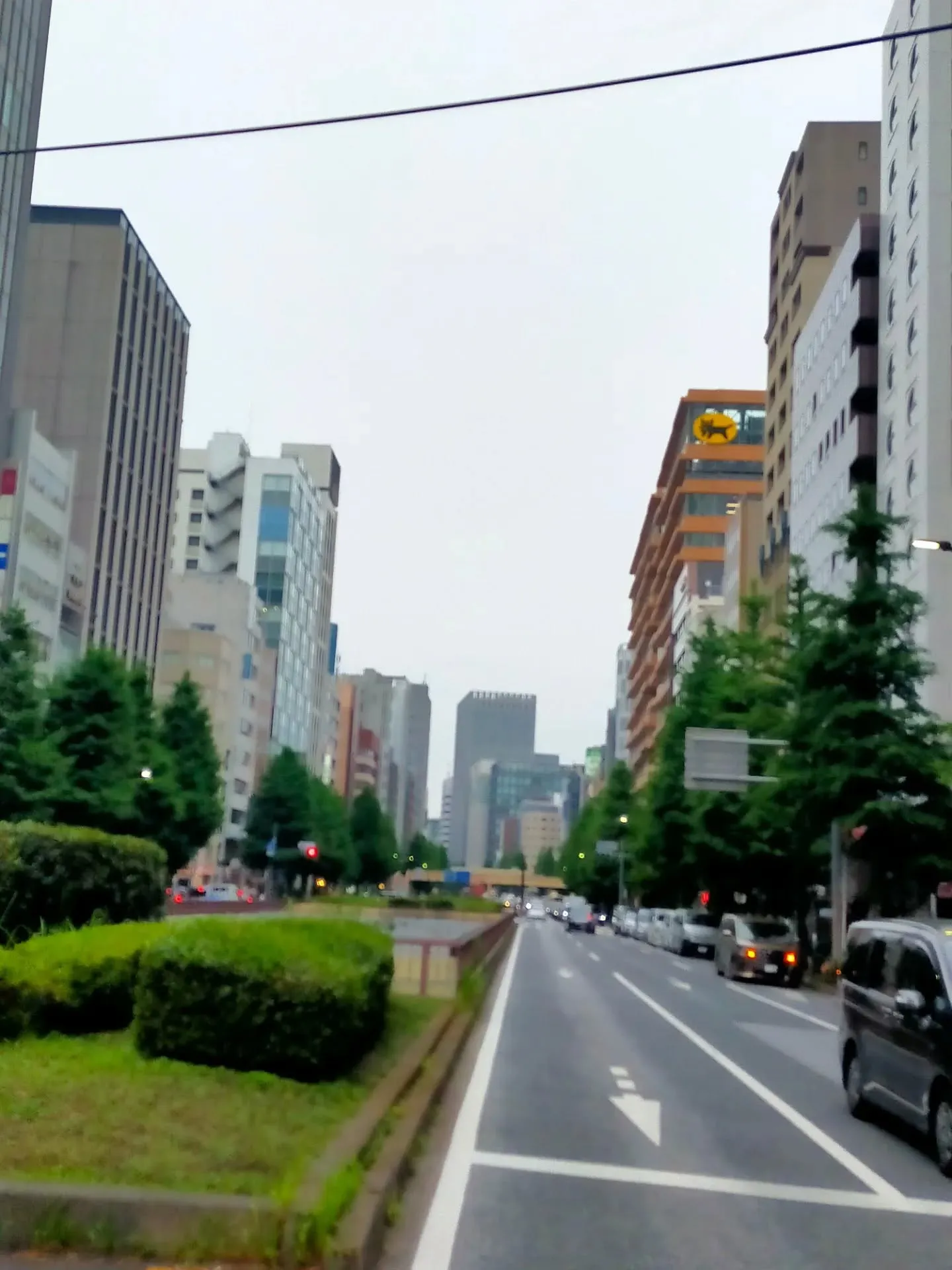 【✨東銀座駅すぐ！AnotherONE＋は銀座の中心に位置す...