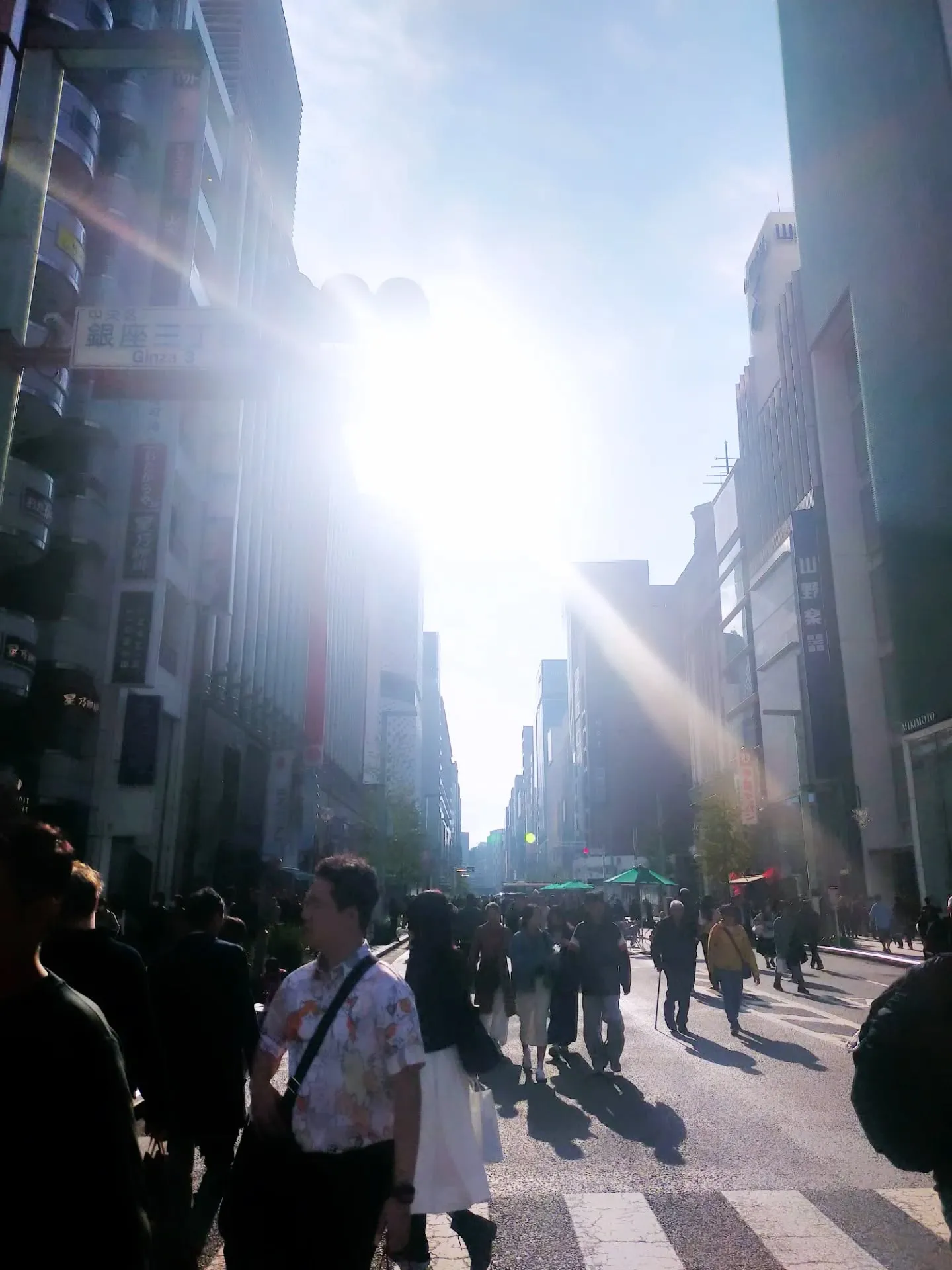 今回は**「銀座の賑わいと AnotherONE＋が提供する...